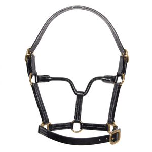 Annabelle Equestrian, fabricante mayorista de cabestros de cuero para caballos con logotipo personalizado, cabestros occidentales, cabestros modernos y únicos. - Product Image 1