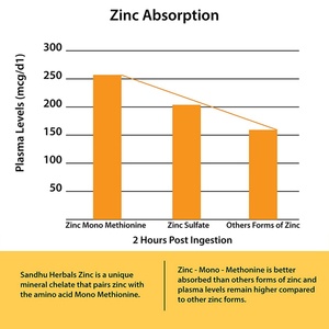 Nuevo Suplemento de Zinc que Promueve la Salud de la Piel para Adultos, Mejora la Elasticidad de la Piel, Cápsulas de Zinc, 120 Cápsulas - Product Image 6