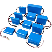 Batterie lithium-ion ODM 3.7V 7.4V 11.1V 14.8V 2500mAh 3000mAh 4000mAh rechargeable Li-ion 18650/21700 pour IOT