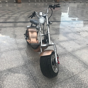 Gold Stand-Up Unicycle Monocycle Mini Scooter Scooter - Product Image 2