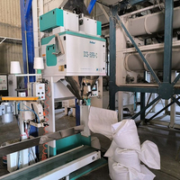 Máquina Empacadora de Bolsas de Arroz y Alimentos Semiautomática de Alta Velocidad Accionada por Motor DCS-50FB-C |   600-1020 Bolsas/Hora, Pesaje y Llenado de 5-25 kg