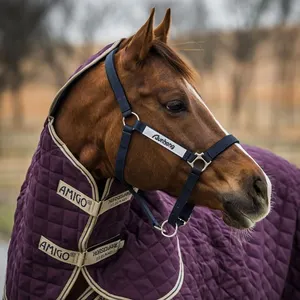 Cheval licou sangle matériel Durable accepter personnalisé vente en gros sport équestre cheval licou headstall