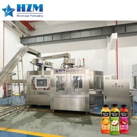 Volledig automatische 3-in-1 fruit sap vulmachine, warmvul productielijn voor sinaasappel- en mangopulp sap