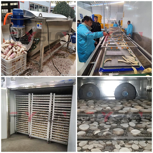 Machine industrielle de transformation du manioc, machine de découpe et de séchage des chips de manioc, sécheuse à manioc - Product Image 2