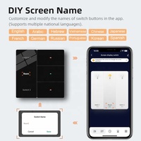 Interrupteur mural tactile LED Tuya Smart DIY avec affichage du nom, écran LED, 10A, norme EU/UK, compatible avec Google Assistant