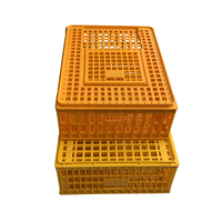 Cages de transport en plastique pour poulets de chair, cages extérieures pour volailles, vente chaude