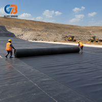 Bâche géomembrane HDPE 2 mm GRI GM13 imperméable, anti-infiltration, anti-UV pour décharges, barrages, étangs à poissons, réservoirs et aquaculture
