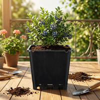 Pots de fleurs carrés modernes en PP de luxe, style romain, avec trou de drainage et auto-arrosage, pour jardin et serre (vente en gros)