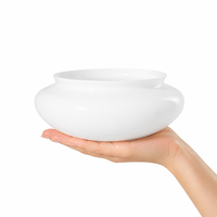 Commande en gros d'abat-jour en verre soufflé à la main, blanc laiteux, gravé à l'acide, en verre sodocalcique, pour pièces de rechange de plafonniers