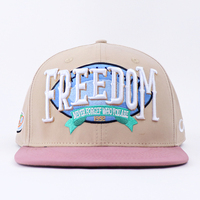 BSCI-zertifizierte Fabrik: Maßgefertigte Snapback-Kappe mit 3D-Stickerei, Hip-Hop Zweifarbige Snapback-Baseballmütze für Sportvereine