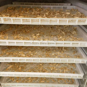 เครื่องปอกเปลือกขิง เครื่องขัดขิง เครื่องล้างขมิ้น - Product Image 6