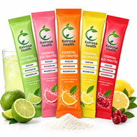 Compléments Nutritionnels Poudre d'Électrolytes pour l'Hydratation Marque Privée Boisson Sachets OEM Poudre d'Électrolytes aux Fruits Keto
