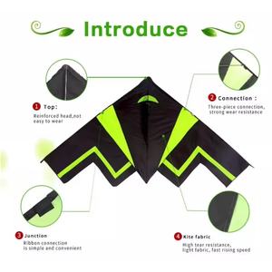 الربيع الرياضة في الهواء الطلق الأطفال سهلة يطير أجنحة المحمولة ترفرف الصيد النسر السنونو الطائرات الورقية - Product Image 6