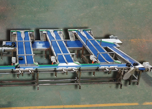 เครื่องชั่งและคัดแยกผลไม้พีช เครื่องคัดแยกน้ำหนักมะม่วง เครื่องคัดแยกแอปเปิ้ลแบบไม่ทำลายเนื้อผลไม้ - Product Image 6