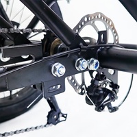 Tricycle électrique à 3 roues de 20 pouces, batterie 13 Ah, moto électrique à trois roues, scooter électrique pour adultes