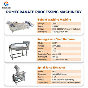 Línea de Equipos para el Procesamiento de Granada para Uso Industrial 1-3T/H: Lavado, Desgranado, Prensado de Jugo y Separación de Jugo-Pomada - Product Image 2