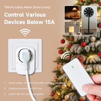 Prise sans fil EU 15A 433MHz Télécommande RF Prise électrique Fusible de sécurité 1500W Utilisation commerciale et domestique Contrôle facile