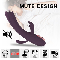 Neues Design Doppelzungen-Leckvibrator für Frauen 10 Geschwindigkeitsstufen G-Punkt-Stimulation Erwachsenen-Masturbator USB