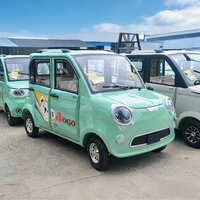 Mini-tricycle électrique à 4 portes entièrement fermé, cabine fermée, pour passagers, idéal pour les trajets quotidiens des aînés et des familles, et les courses.