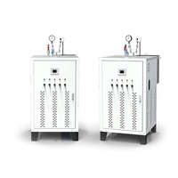 Produsen Boiler Pemanas Gas Stainless Steel dengan Tabung Api Kontrol Otomatis Hemat Energi Ultra-Rendah Nitrogen; Domestik
