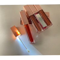 Fournisseur de brillant à lèvres Lumière LED rose Brillant à lèvres personnalisé avec le logo de votre marque Tube de brillant à lèvres Lumière LED avec rouge à lèvres liquide mat miroir