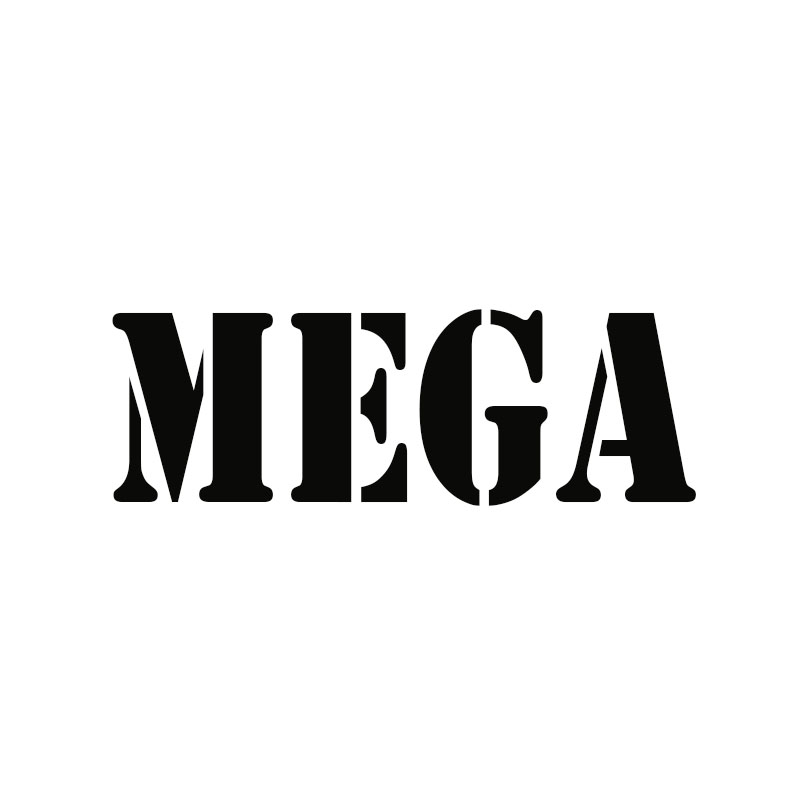 Yiyang Mega Trade Co., Ltd. logo
