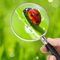 Handheld Reading Magnifiers 60/75/100 mm Metal Frame for Elderly Readers
