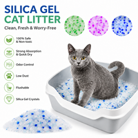 Meilleure litière pour chat biodégradable et écologique en gel de silice, contrôle puissant des odeurs, sans poussière, hautement absorbante, séchage rapide, OEM
