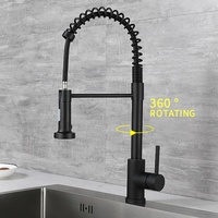 Robinet mitigeur de cuisine à double fonction, mitigeur d'évier à ressort en acier inoxydable à poignée unique en Nickel brossé