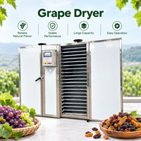 Machine industrielle de séchage de raisins, déshydrateur de raisins, sécheur de fruits à air chaud, four de séchage à plateaux pour raisins séchés