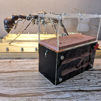 Cage en acrylique pour insectes, conteneur de ferme pour fourmis, nid détachable à aimant