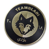 Badges en TPU silicone en gros, à coller au fer, design personnalisé, patchs de vêtements de sport, étiquettes avec logo de football en relief 3D pour vêtements