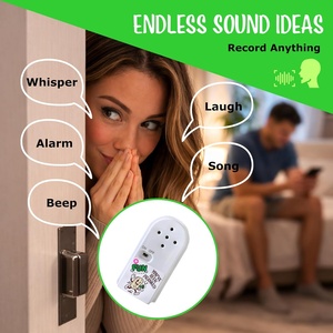 Divertido Dispositivo de Broma con Sonido Personalizado, Máquina de Ruido Oculta que Graba Bromas Invisibles - Product Image 5