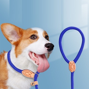 Bán buôn rắn Nylon chó TrượT Dây Xích bền đôi xử lý với dày hơn và dài hơn Thiết kế vật nuôi Dây Xích - Product Image 1