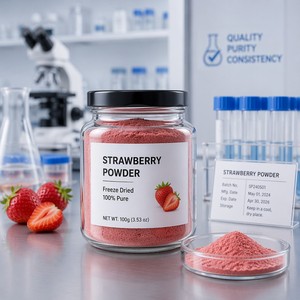 Polvo de Arándanos Naturales FVP-20, Grado Alimenticio, Rico en Nutrientes, <span class=keywords><strong>Vegetal</strong></span> Deshidratado en Envase de Tambor/Botella - Product Image 4