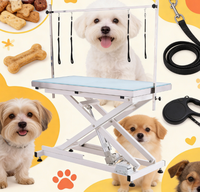 Table de toilettage électrique pour animaux de compagnie MT Medical, adaptée aux chiens et aux chats, avec un plateau en verre trempé givré, idéale pour les cliniques vétérinaires.