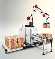 Collaboratieve robots, robotcobot, 6-assige robotarm voor het palletiseren van gedroogd fruit in dozen en magazijnautomatisering