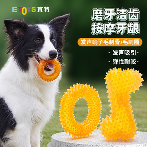 EETOYS Dog Squeaky Ring TPR Teething Toy <b>Bite</b> Resistant Teeth Cleaning Massage Gum Interactive Chew Toy - Product Image 1