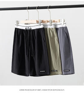 2024 nuevos pantalones cortos deportivos de secado rápido de estilo fino de verano de seda de hielo pantalones cortos casuales rectos sueltos - Product Image 2