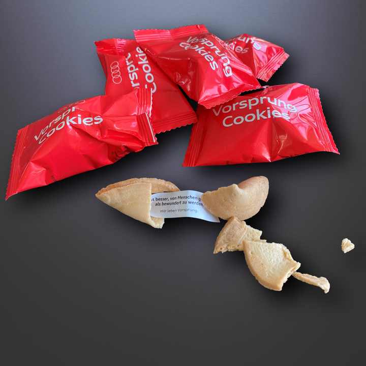 Versatile Promotional Bags Effectively Showcasing Your Materials