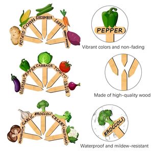 15 Étiquettes de Jardinage en Bois Rustiques et Contemporaines pour Plantes, Légumes et Art Floral – Écologiques - Product Image 1