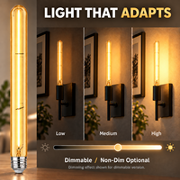 Ampoule tubulaire longue à filament LED rétro E26 E27, verre ambré 2200K, pour usage résidentiel et paysager, certifiée UL CE UKCA, directement de l'usine