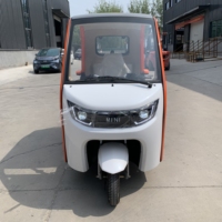 Vente en gros d'usine, scooter électrique de loisirs, tricycles, 3 roues, semi-fermé, 2 places, type de carrosserie ouverte, 800W, 60V