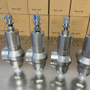 Válvula <span class=keywords><strong>de</strong></span> seguridad con resorte NAI-LOK SS316, 1 pulgada MNPT x FNPT roscada, válvula <span class=keywords><strong>de</strong></span> alivio <span class=keywords><strong>de</strong></span> presión <span class=keywords><strong>de</strong></span> 3000 PSI para tuberías <span class=keywords><strong>de</strong></span> gas y vapor - Product Image 6