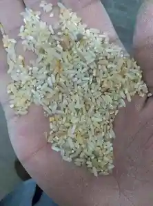 Trieuse de riz professionnelle de haute technologie, petite Machine de triage de grains de blé de maïs trieur de couleur de grains de café sélecteur de couleur de grains de café