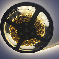 Bande led flexible 5050 couleur unique DC 12/24V CE profil RoHS bande led rétroéclairage TV pour chambre
