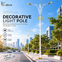 Poteau d'éclairage décoratif à faible MOQ avec hauteur, couleur et motif personnalisables pour parcs et quartiers