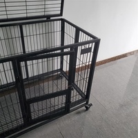 Cage pour chien robuste et respirante, en fer, à double porte, avec plateau amovible, finition thermolaquée, vente en gros directe usine