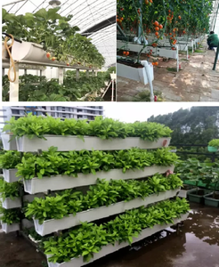 Tự rõ ràng mái nhà mái nhà xây dựng Vật liệu lợp hình thang tấm nhựa máng xối - Product Image 4