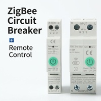 Interruptor de Circuito Inteligente SLS Zigbee para Riel DIN, 10-63A, Monitoreo de Energía, 1P 2P 90-240V, Interruptor Remoto, Hogar Inteligente, Compatible con Alexa/Google